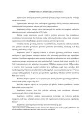 Apylinkės inspektoriaus darbo organizavimas  4 puslapis