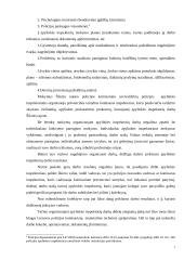 Apylinkės inspektoriaus darbo organizavimas  7 puslapis