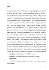 Apylinkės inspektoriaus veiklos teisiniai pagrindai 2 puslapis