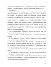 Policijos veikla užtikrinant saugų eismą 18 puslapis