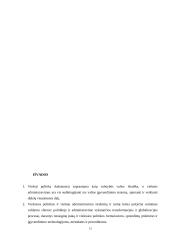 Politikos formavimosi procesas 13 puslapis