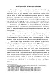 Politikos formavimosi procesas 9 puslapis