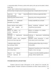 Estijos strateginio planavimo charakteristikos viešajame sektoriuje 12 puslapis