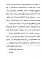 Estijos strateginio planavimo charakteristikos viešajame sektoriuje 13 puslapis