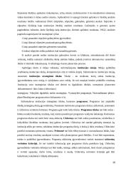 Estijos strateginio planavimo charakteristikos viešajame sektoriuje 10 puslapis