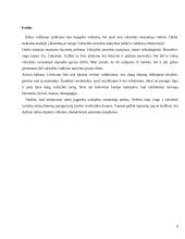 Valstybės tarnybos įstatymo kritika 2 puslapis