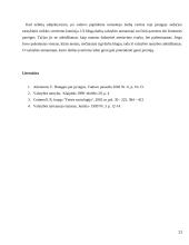 Valstybės tarnybos įstatymo kritika 11 puslapis