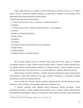 Valstybės tarnybos įstatymo kritika 5 puslapis