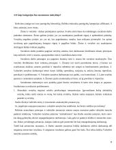 Valstybės tarnybos įstatymo kritika 8 puslapis