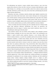 Administracinių ginčų nagrinėjimo bylos 19 puslapis