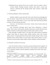 Valstybės tarnautojų motyvacinės sistemos kūrimas  13 puslapis