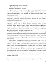 Valstybės tarnautojų motyvacinės sistemos kūrimas  17 puslapis