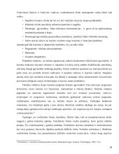 Valstybės tarnautojų motyvacinės sistemos kūrimas  18 puslapis