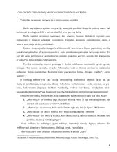 Valstybės tarnautojų motyvacinės sistemos kūrimas  3 puslapis