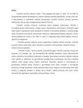 Valstybės tarnautojų skatinimas ir atsakomybė 2 puslapis