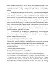 Valstybės tarnautojų skatinimas ir atsakomybė 17 puslapis