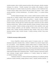 Valstybės tarnautojų skatinimas ir atsakomybė 18 puslapis