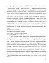 Valstybės tarnautojų skatinimas ir atsakomybė 20 puslapis