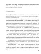 Valstybės tarnautojų skatinimas ir atsakomybė 9 puslapis