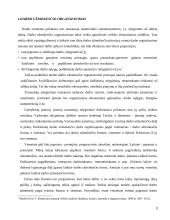 Darbo užmokesčio apmokėjimas 3 puslapis