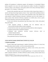 Darbo užmokesčio apmokėjimas 7 puslapis