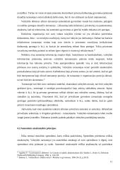 Valstybės tarnautojų etikos principai 11 puslapis