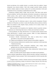 Valstybės tarnautojų etikos principai 13 puslapis