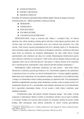 Valstybės tarnautojų etikos principai 17 puslapis