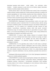 Valstybės tarnautojų etikos principai 18 puslapis