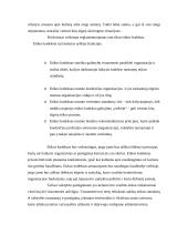 Etika - valstybės tarnybos dalis  11 puslapis