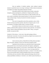 Etika - valstybės tarnybos dalis  12 puslapis