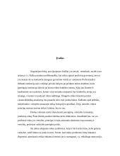 Etika - valstybės tarnybos dalis  3 puslapis