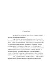 Etika - valstybės tarnybos dalis  7 puslapis