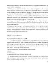 Valstybės tarnybos skatinimas ir atsakomybė 16 puslapis