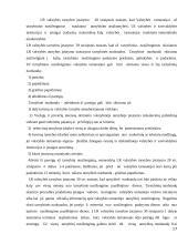 Valstybės tarnybos skatinimas ir atsakomybė 17 puslapis