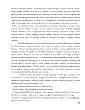 Valstybės tarnybos skatinimas ir atsakomybė 19 puslapis