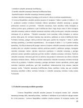 Valstybės tarnybos skatinimas ir atsakomybė 20 puslapis