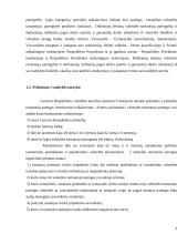 Valstybės tarnybos skatinimas ir atsakomybė 7 puslapis