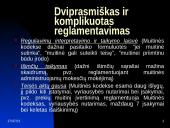 Muitinės procedūros skaidrės 4 puslapis