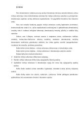 Demokratijos raida ir viešojo sektoriaus efektyvumas 2 puslapis