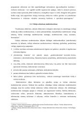 Demokratijos raida ir viešojo sektoriaus efektyvumas 4 puslapis