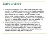E.valdžios veiksmingumas politinis ir demokratinis 2 puslapis