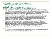 E.valdžios veiksmingumas politinis ir demokratinis 5 puslapis