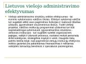 E.valdžios veiksmingumas politinis ir demokratinis 6 puslapis
