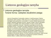 Lietuvos geologijos tarnyba kaip viešojo administravimo subjektas 3 puslapis