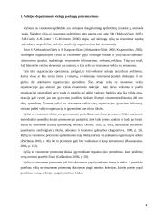 Policijos departamento viešųjų paslaugų pozicionavimas	 4 puslapis