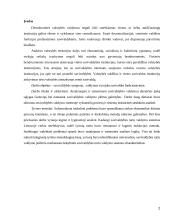 Savivaldybės samprata, valdymas ir jo įtaka savivaldos funkcionavimui 2 puslapis