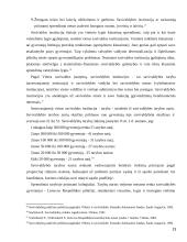 Savivaldybės samprata, valdymas ir jo įtaka savivaldos funkcionavimui 13 puslapis