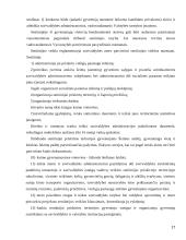 Savivaldybės samprata, valdymas ir jo įtaka savivaldos funkcionavimui 17 puslapis