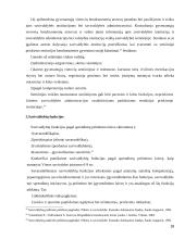 Savivaldybės samprata, valdymas ir jo įtaka savivaldos funkcionavimui 18 puslapis